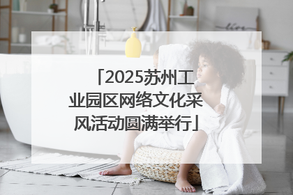 2025苏州工业园区网络文化采风活动圆满举行