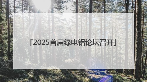 2025首届绿电铝论坛召开
