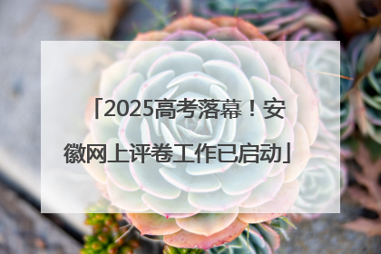 2025高考落幕！安徽网上评卷工作已启动