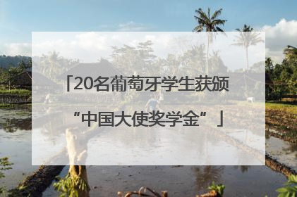 20名葡萄牙学生获颁“中国大使奖学金”