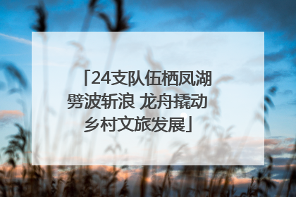 24支队伍栖凤湖劈波斩浪 龙舟撬动乡村文旅发展