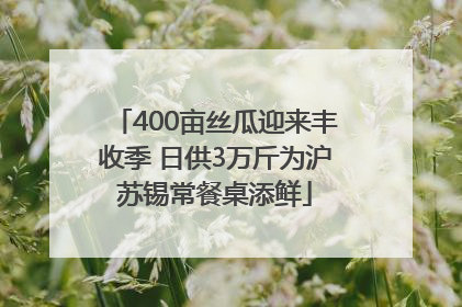 400亩丝瓜迎来丰收季 日供3万斤为沪苏锡常餐桌添鲜