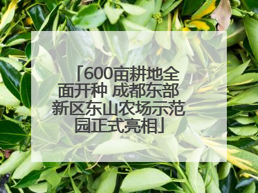 600亩耕地全面开种 成都东部新区东山农场示范园正式亮相