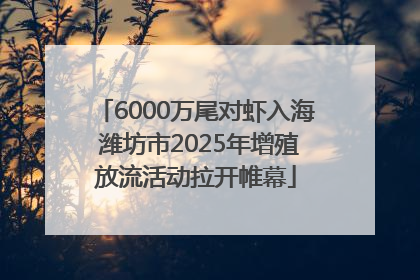 6000万尾对虾入海 潍坊市2025年增殖放流活动拉开帷幕