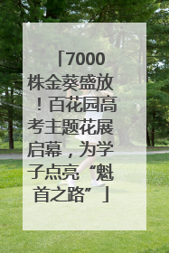 7000株金葵盛放！百花园高考主题花展启幕，为学子点亮“魁首之路”