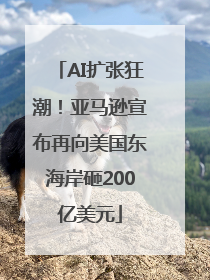 AI扩张狂潮！亚马逊宣布再向美国东海岸砸200亿美元