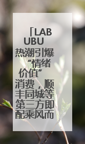 LABUBU 热潮引爆 “情绪价值” 消费，顺丰同城等第三方即配乘风而起